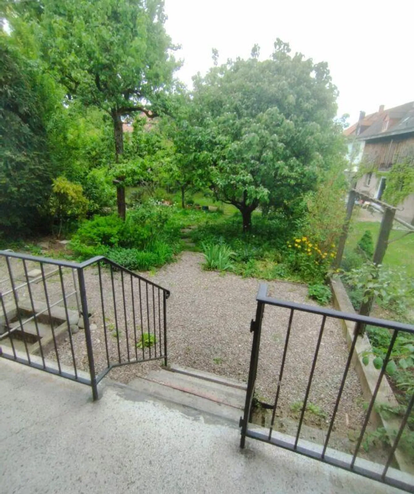 Garden Apartment in Allschwil - Photo 3 of 9