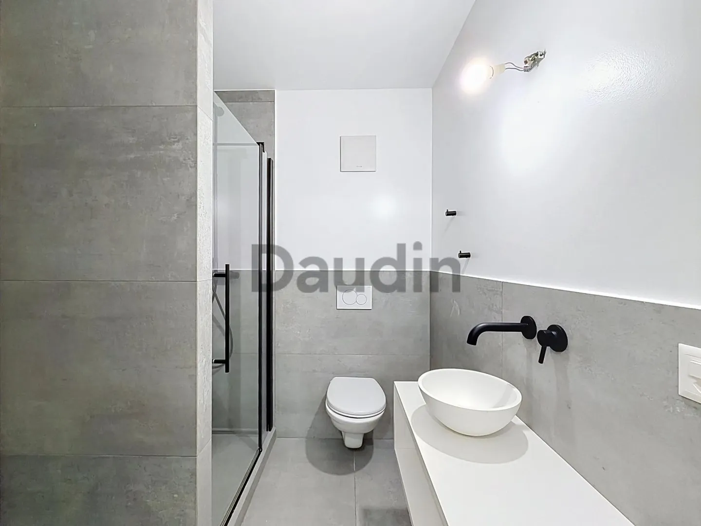 Adjacent renovated villa with garden in Versoix - Photo 11 of 13