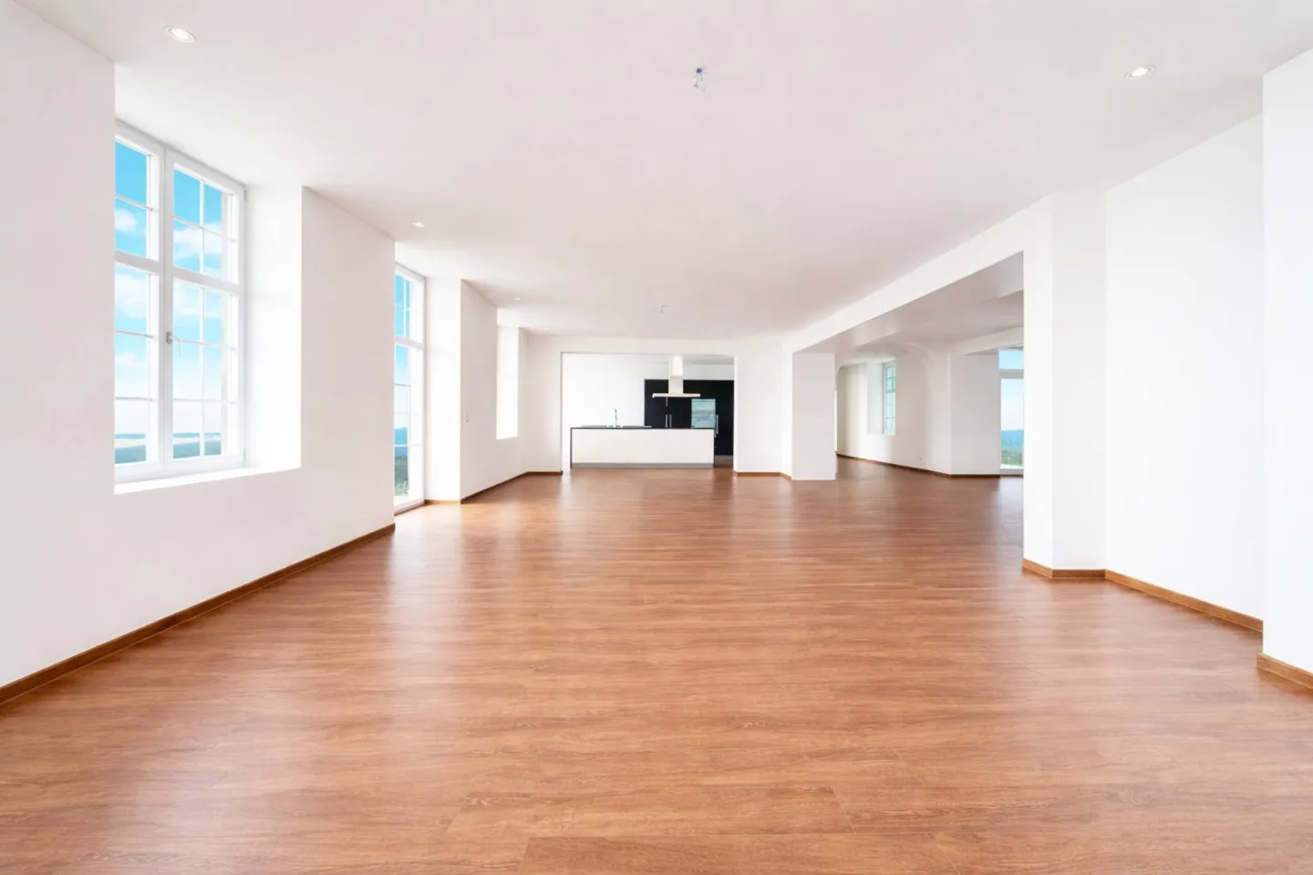 A Panorama of Exception over Biel and the Alps - Photo 5 of 13