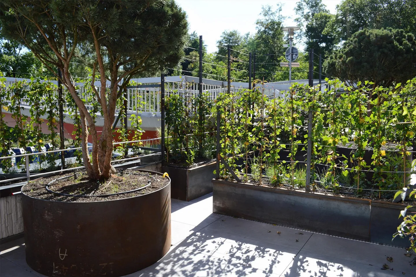 Moderne 1.5-Zimmer-Wohnung in Zürich - Foto 5 von 13