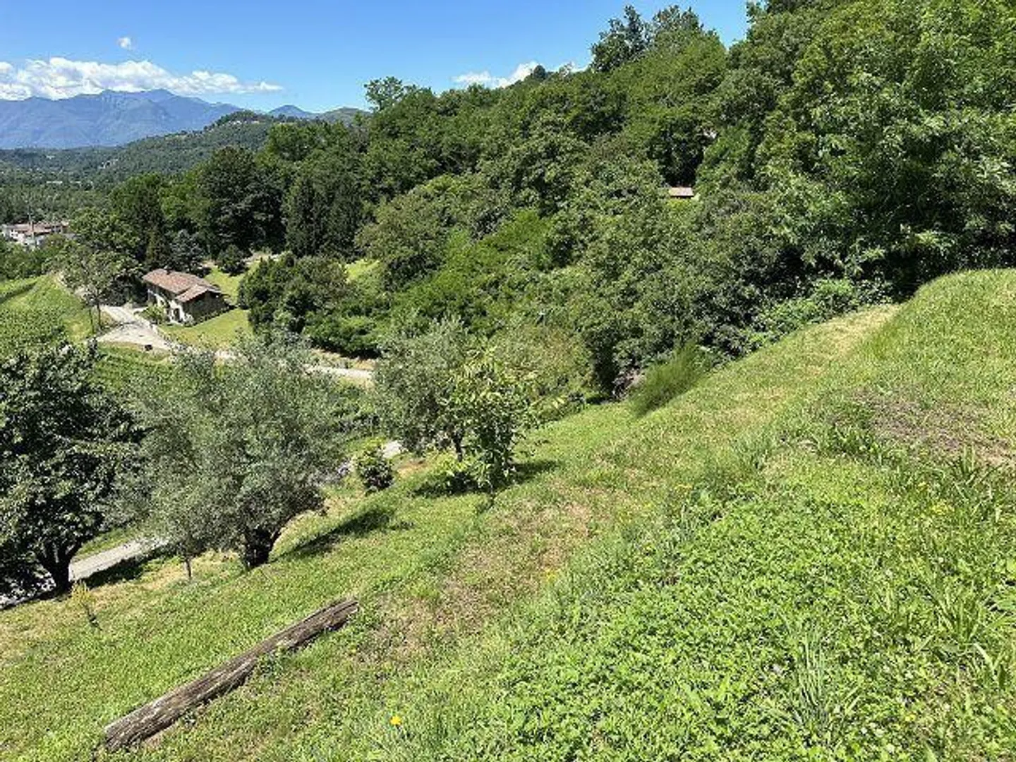 Charming Villa in Malcantone - Photo 40 of 57