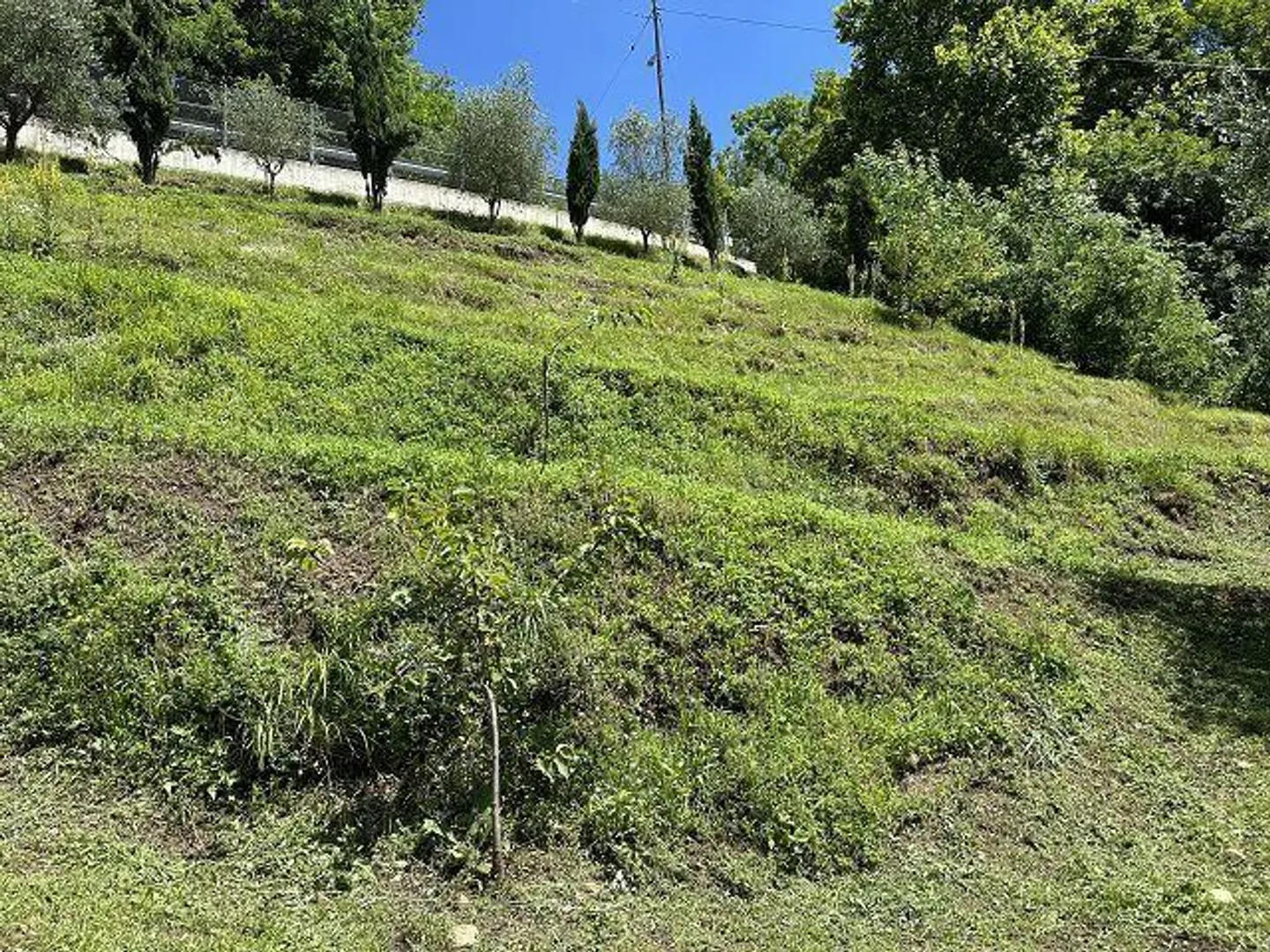 Charming Villa in Malcantone - Photo 41 of 57