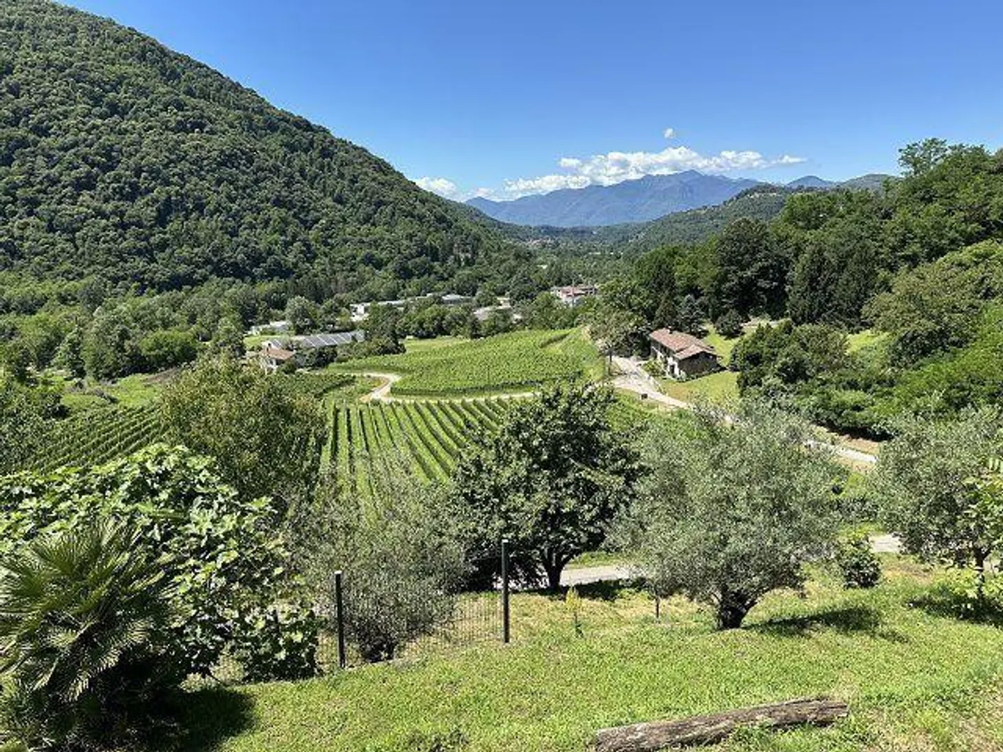Charming Villa in Malcantone - Photo 47 of 57