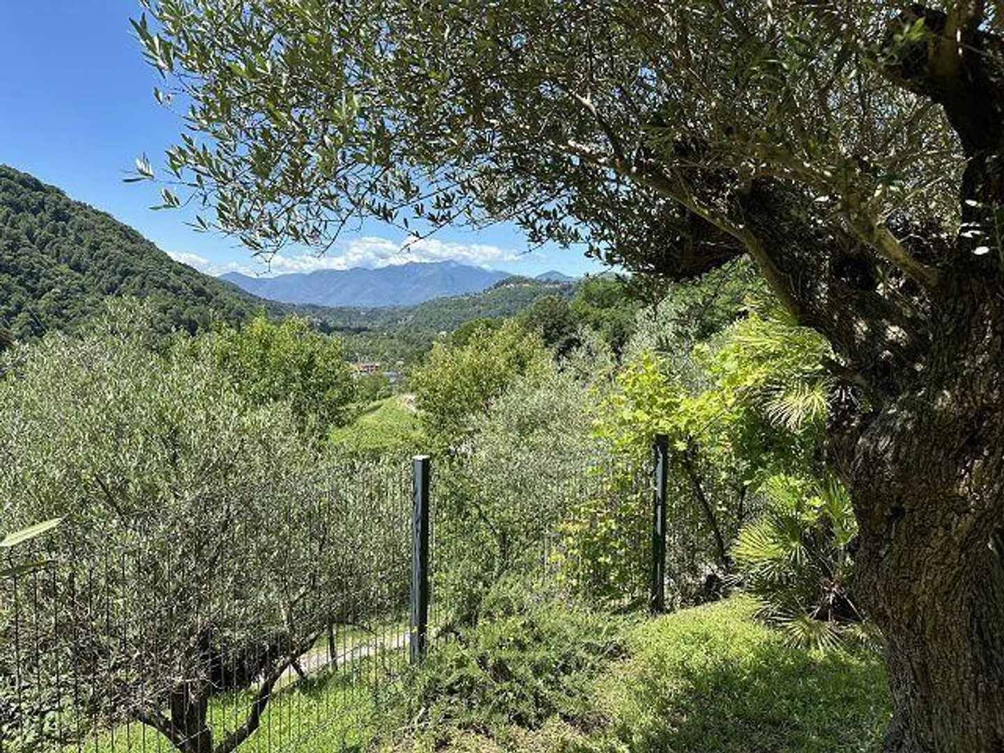 Charming Villa in Malcantone - Photo 48 of 57
