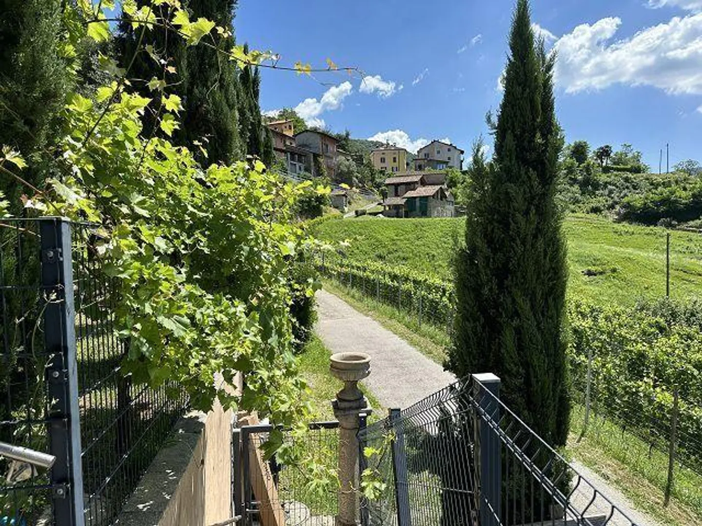 Charming Villa in Malcantone - Photo 52 of 57