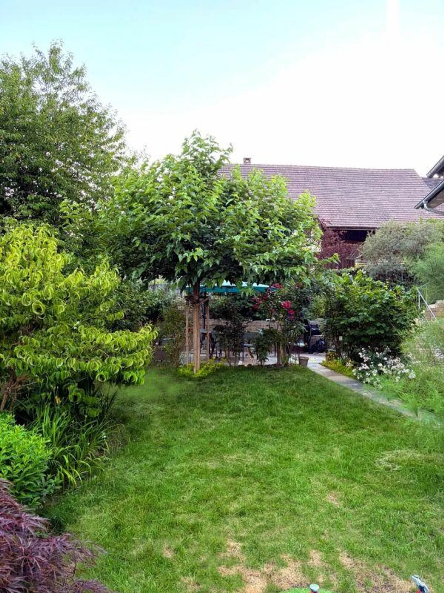 Exklusive Villa mit Designerküche - Foto 5 von 6