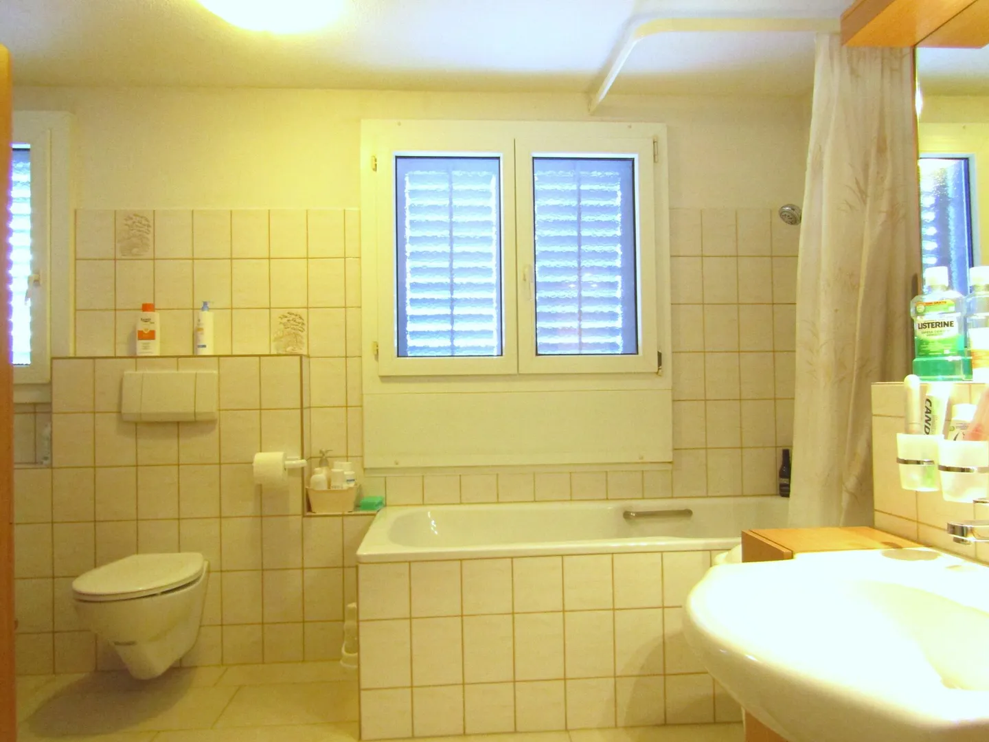 Detached single-family house with 60m2 commercial extension - Photo 13 of 14