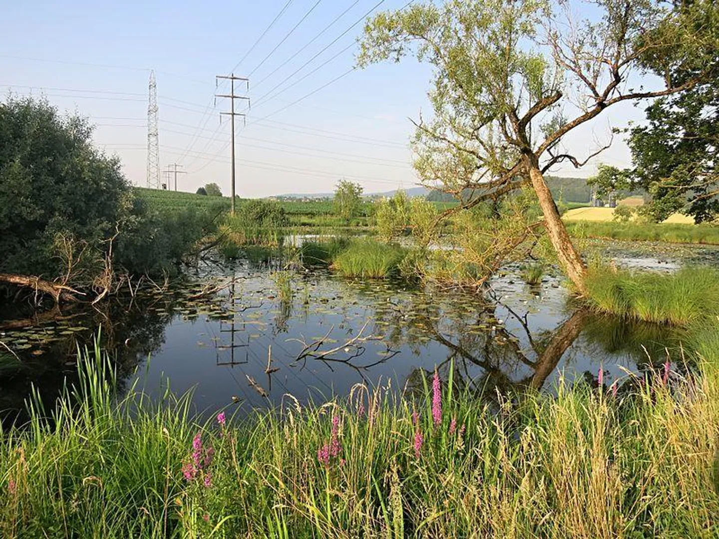 Gemütliche Wohnung nähe Flughafen - Foto 11 von 11