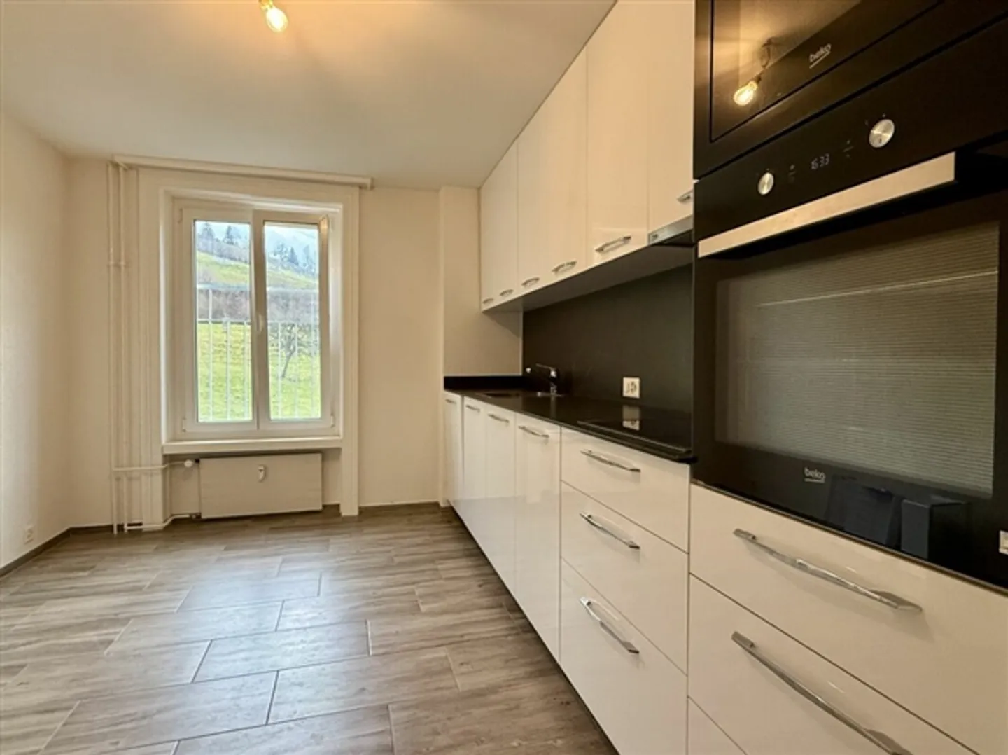 INVESTMENT PROPERTY NEAR GÜBSENSEE - Photo 3 of 8