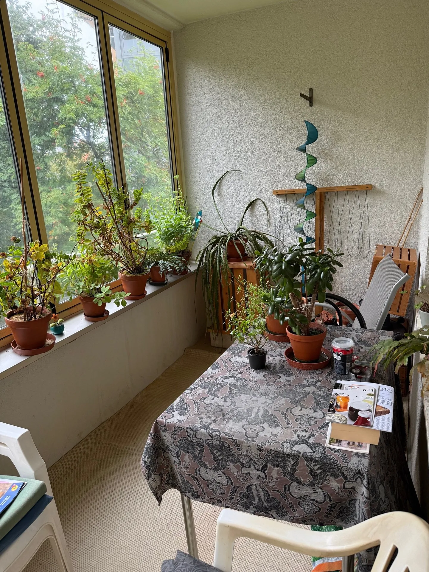 Beautiful and affordable old apartment - Photo 1 of 6