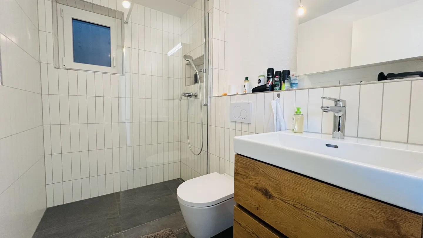 Esclusiva casa unifamiliare di nuova costruzione con 5,5 stanze, carport, terrazza, giardino e 2 bagni - Foto 25 di 29