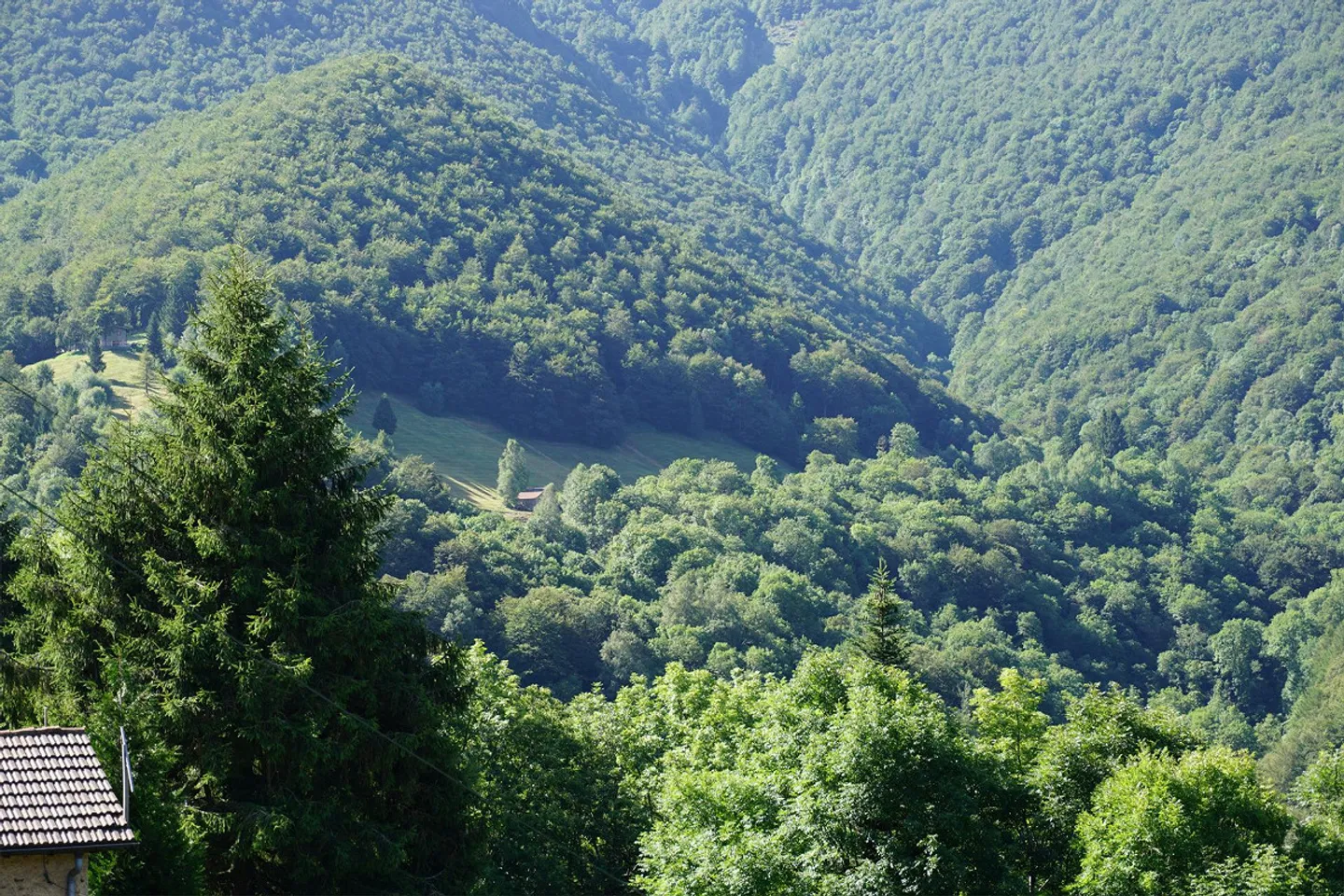 Certara - Lugano sees a Ticinese house to be renovated with building license - Photo 12 of 13