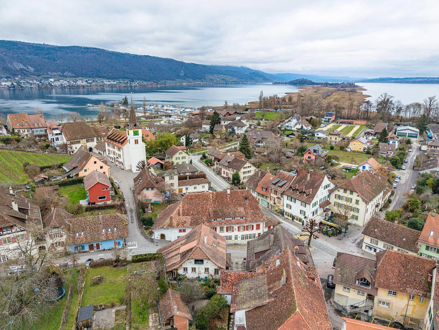 HISTORICAL YIELD OPPORTUNITY (BR 7.75%) AT LAKE BIEL - Photo 7 of 7