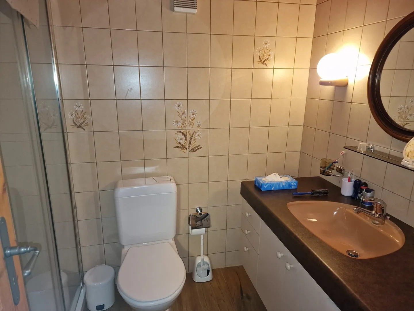 FIONNAY - 2-Zimmer Mazot + Weinkeller + möblierte Terrasse - Foto 9 von 19