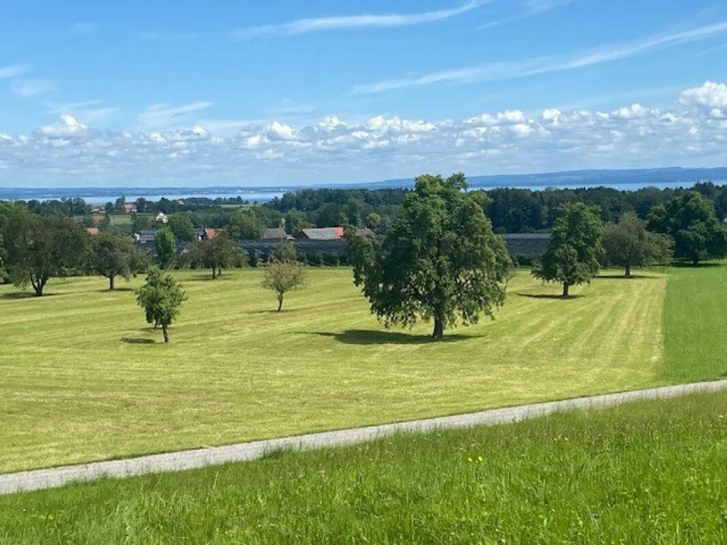 Vivere nel villaggio - Foto 7 di 8