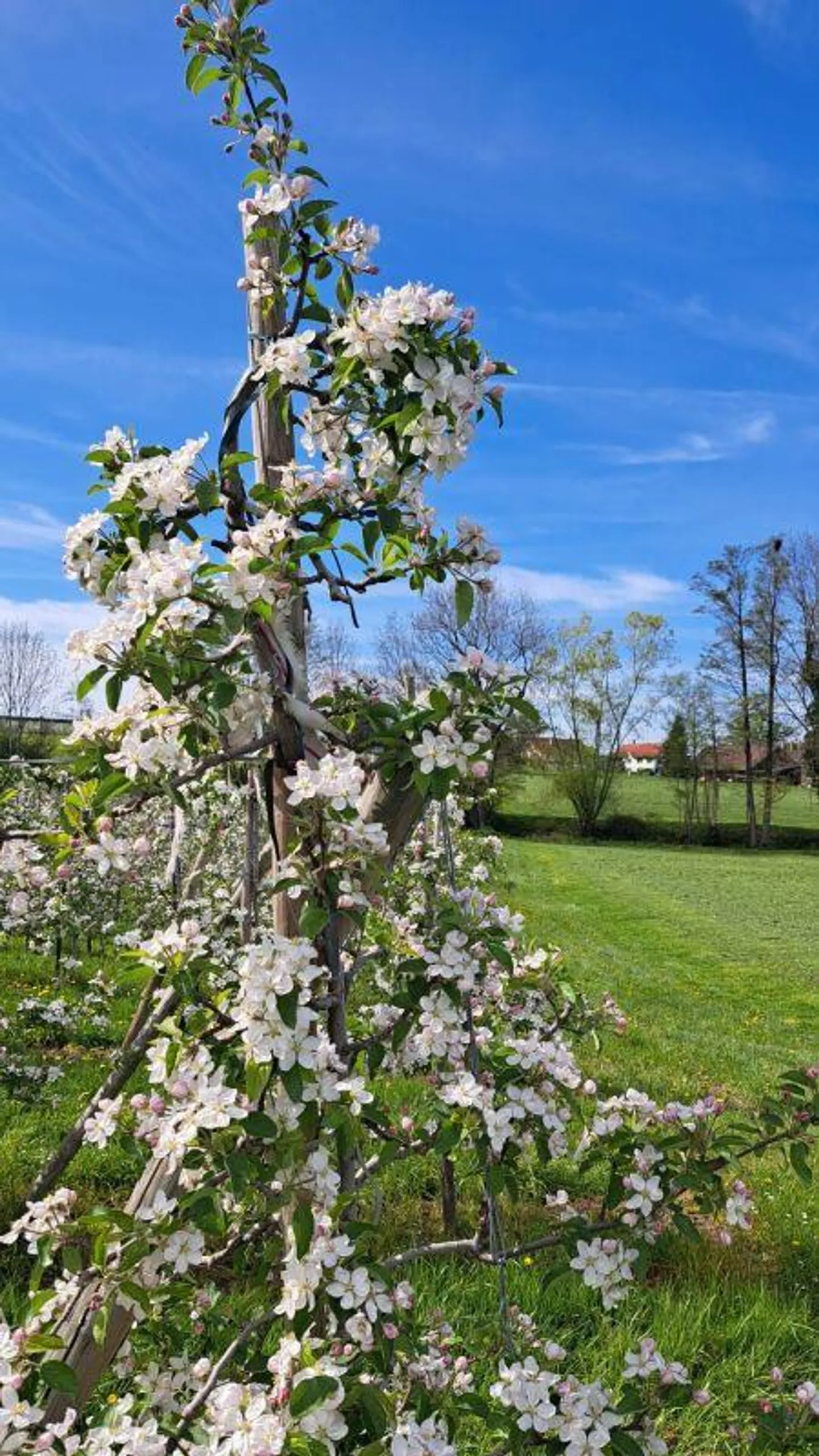 Vivere nel villaggio - Foto 8 di 8