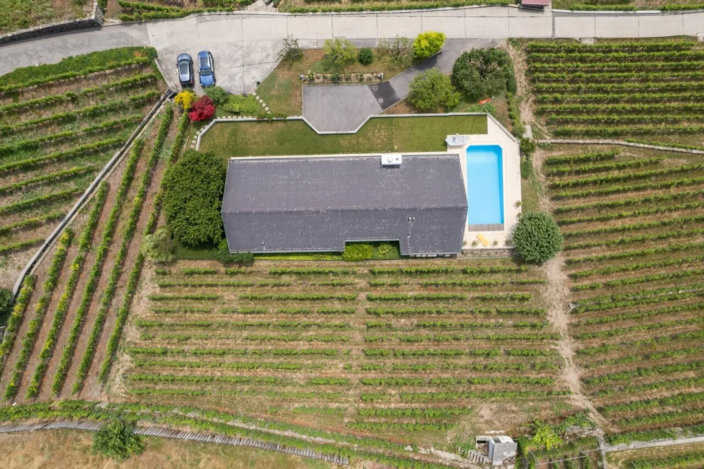 Entre le vert des vignes et le bleu du lac - Photo 14 sur 15