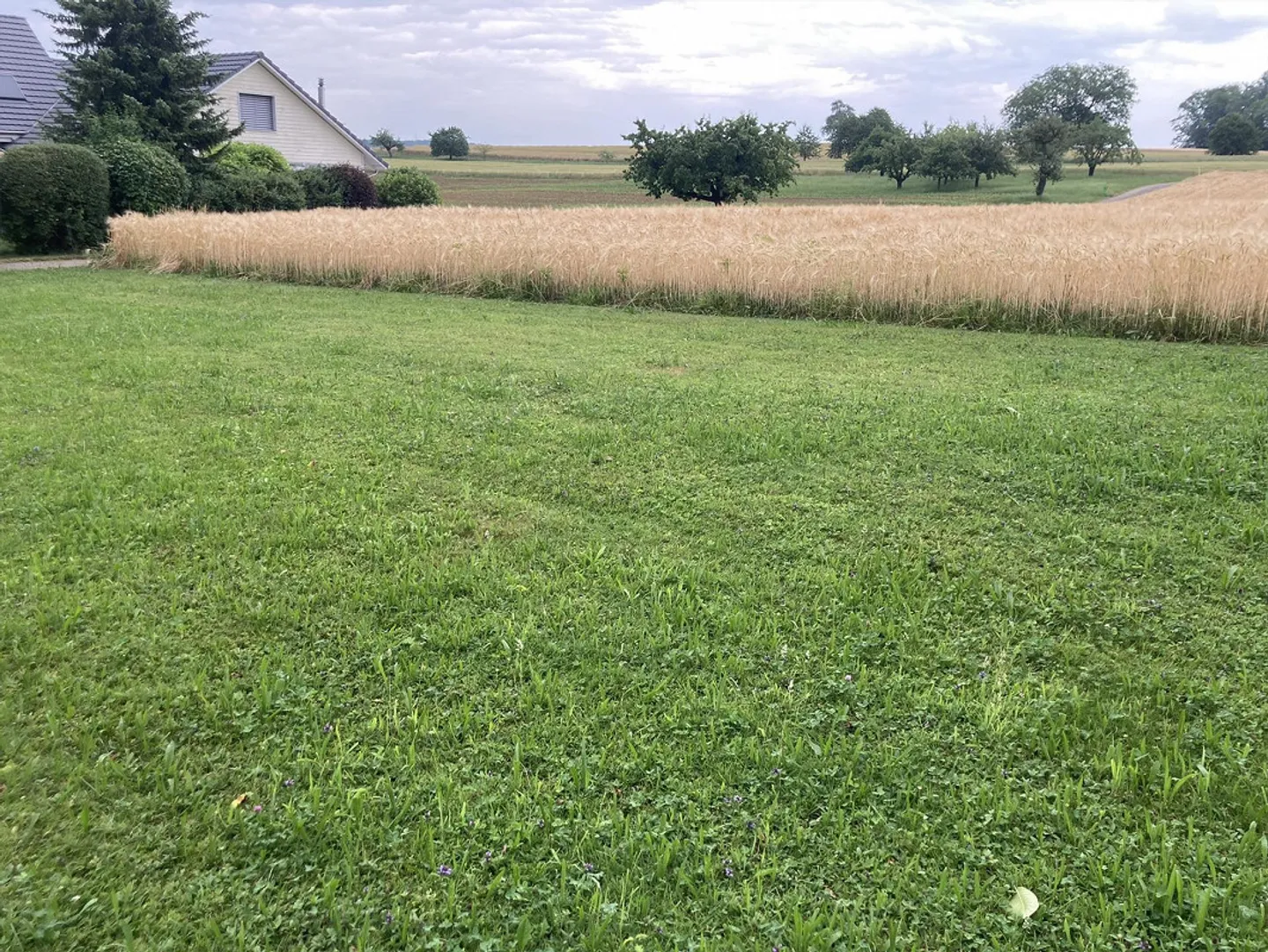 Terrain à bâtir à vendre à Rünenberg - Photo 3 sur 4