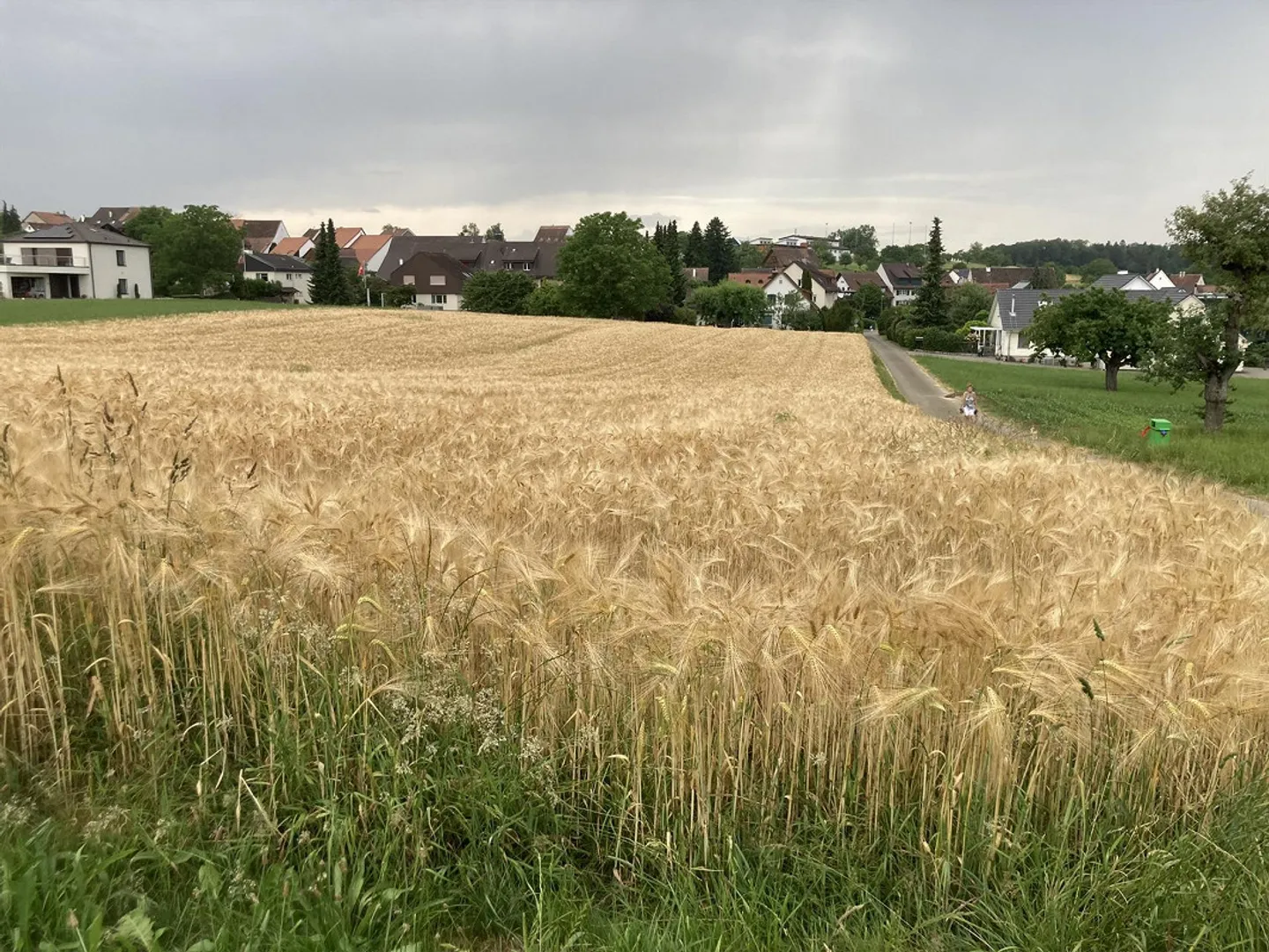 Terrain à bâtir à vendre à Rünenberg - Photo 1 sur 4