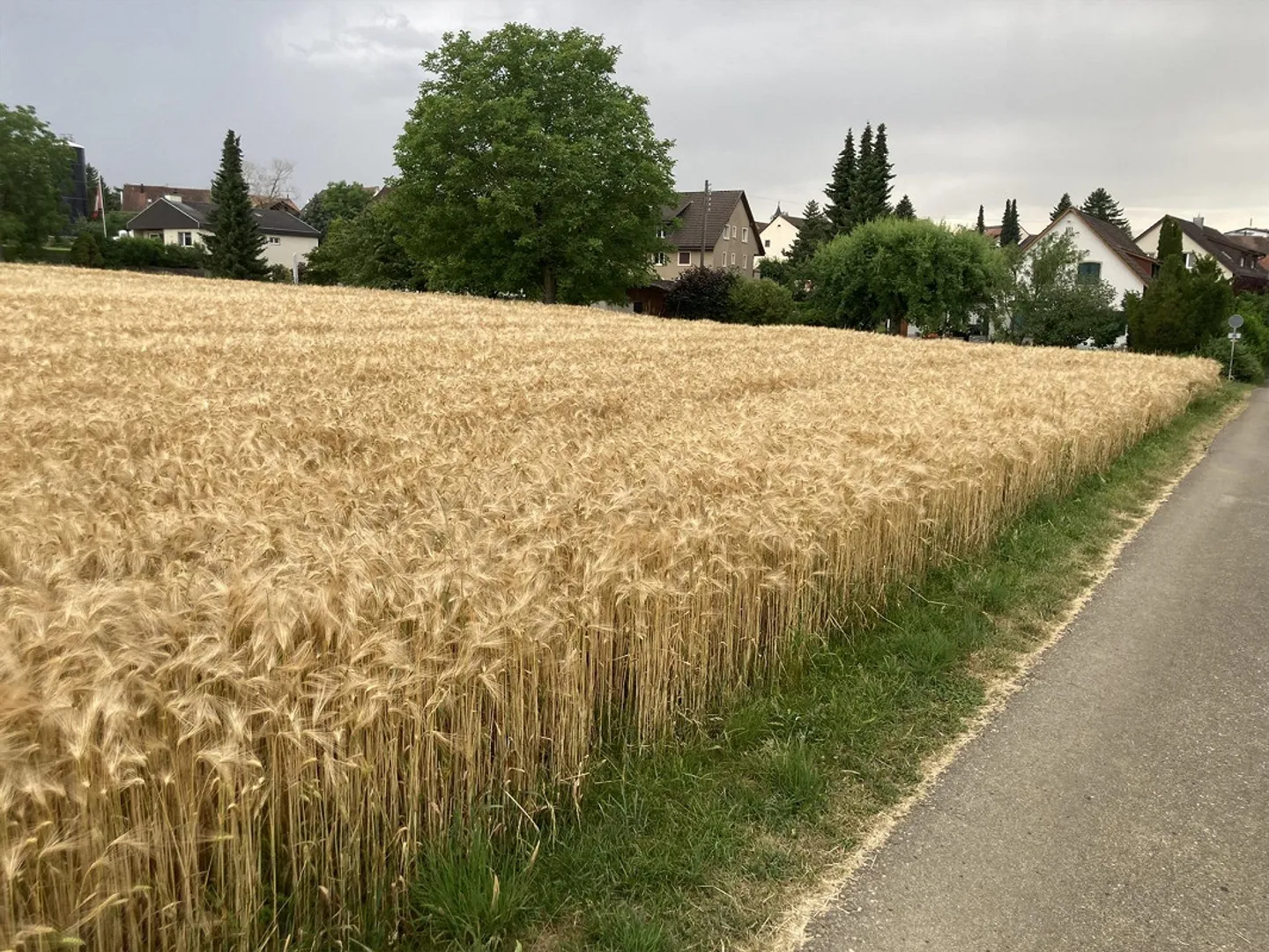 Terrain à bâtir à vendre à Rünenberg - Photo 2 sur 4