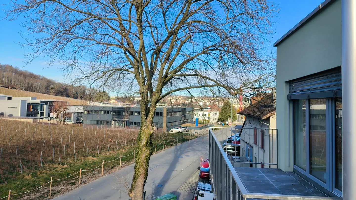 Modern Studio with Terrace - Photo 6 of 15