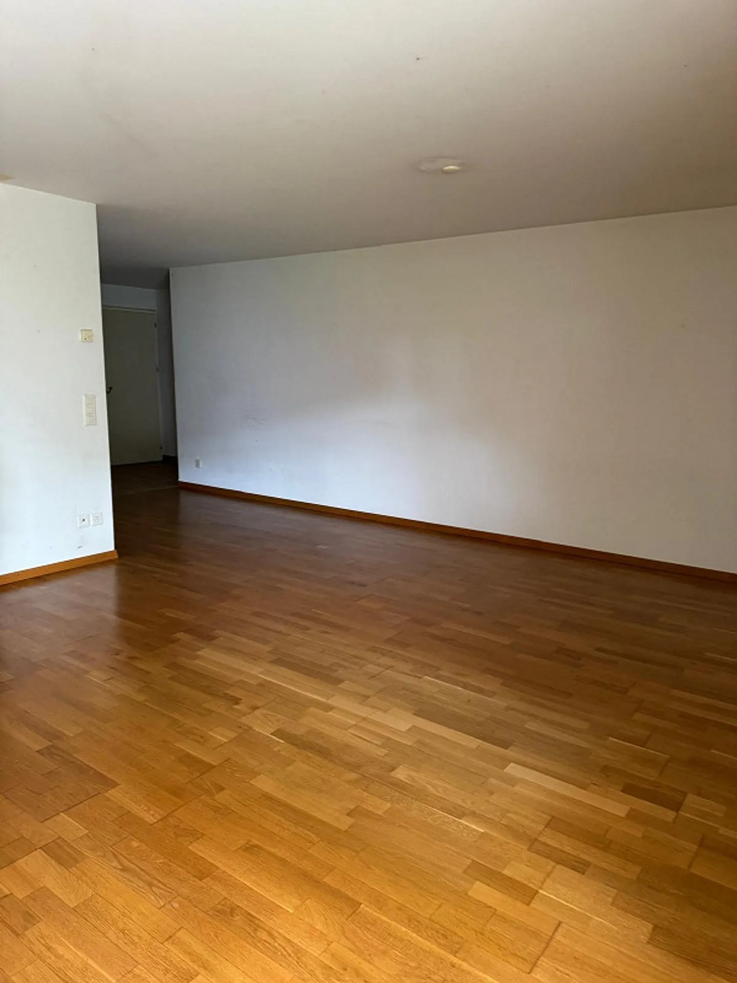 Appartamento al piano terra di 2,5 stanze con giardino condiviso - Foto 2 di 5