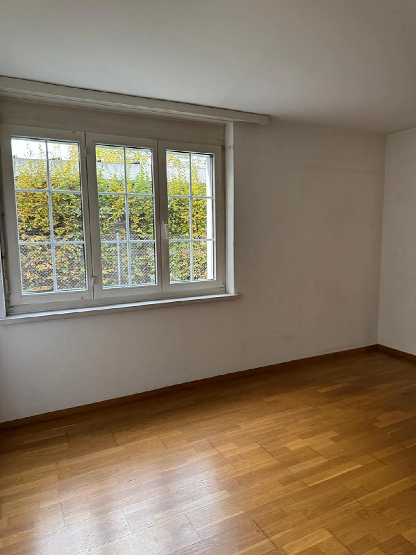 Appartamento al piano terra di 2,5 stanze con giardino condiviso - Foto 3 di 5