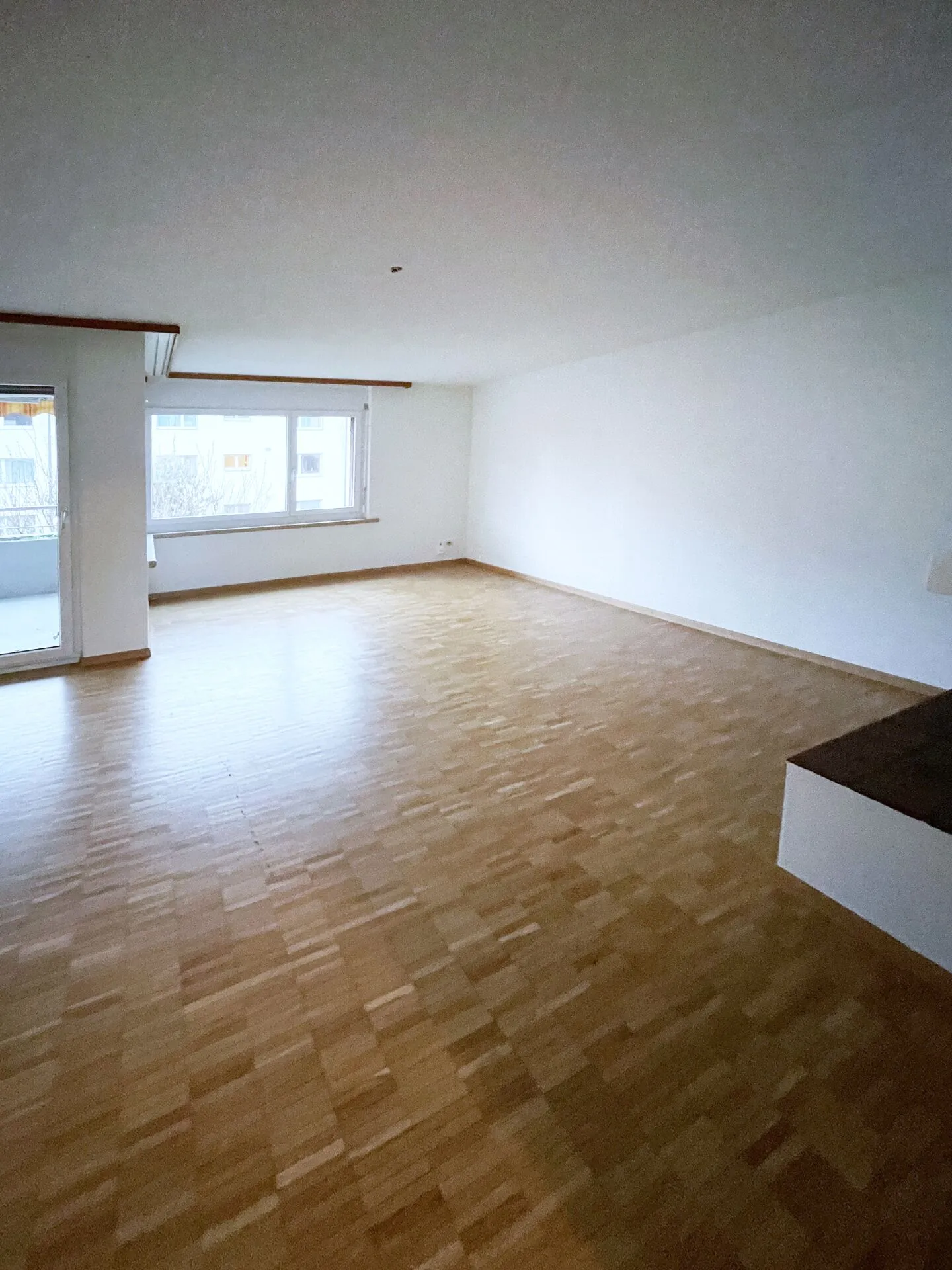 Spacious Living in the Green - Photo 7 of 29