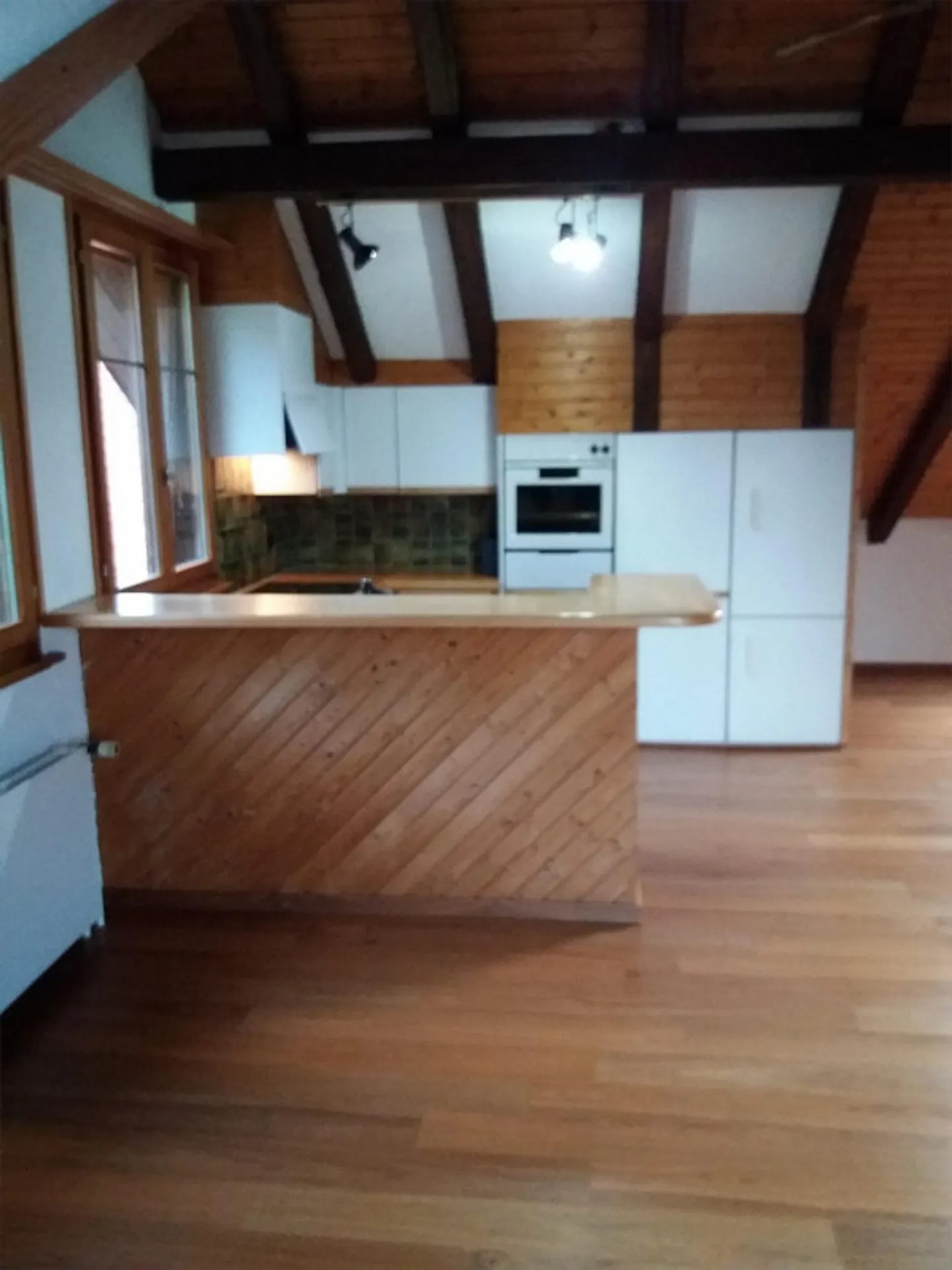 Cozy 3.5 Room Attic Apartment - Photo 1 of 6