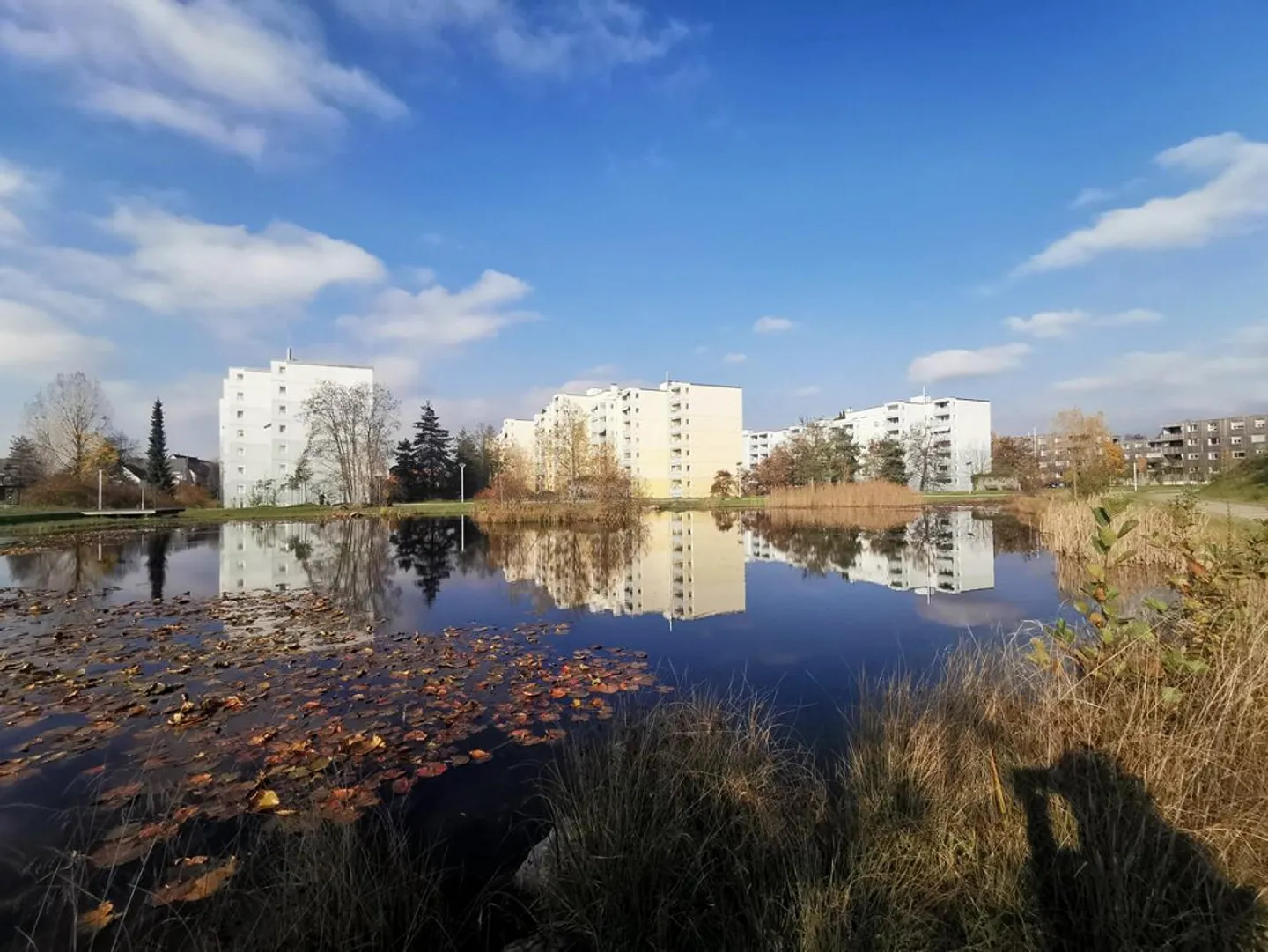 Central Living with a View of Griespark - Photo 1 of 13