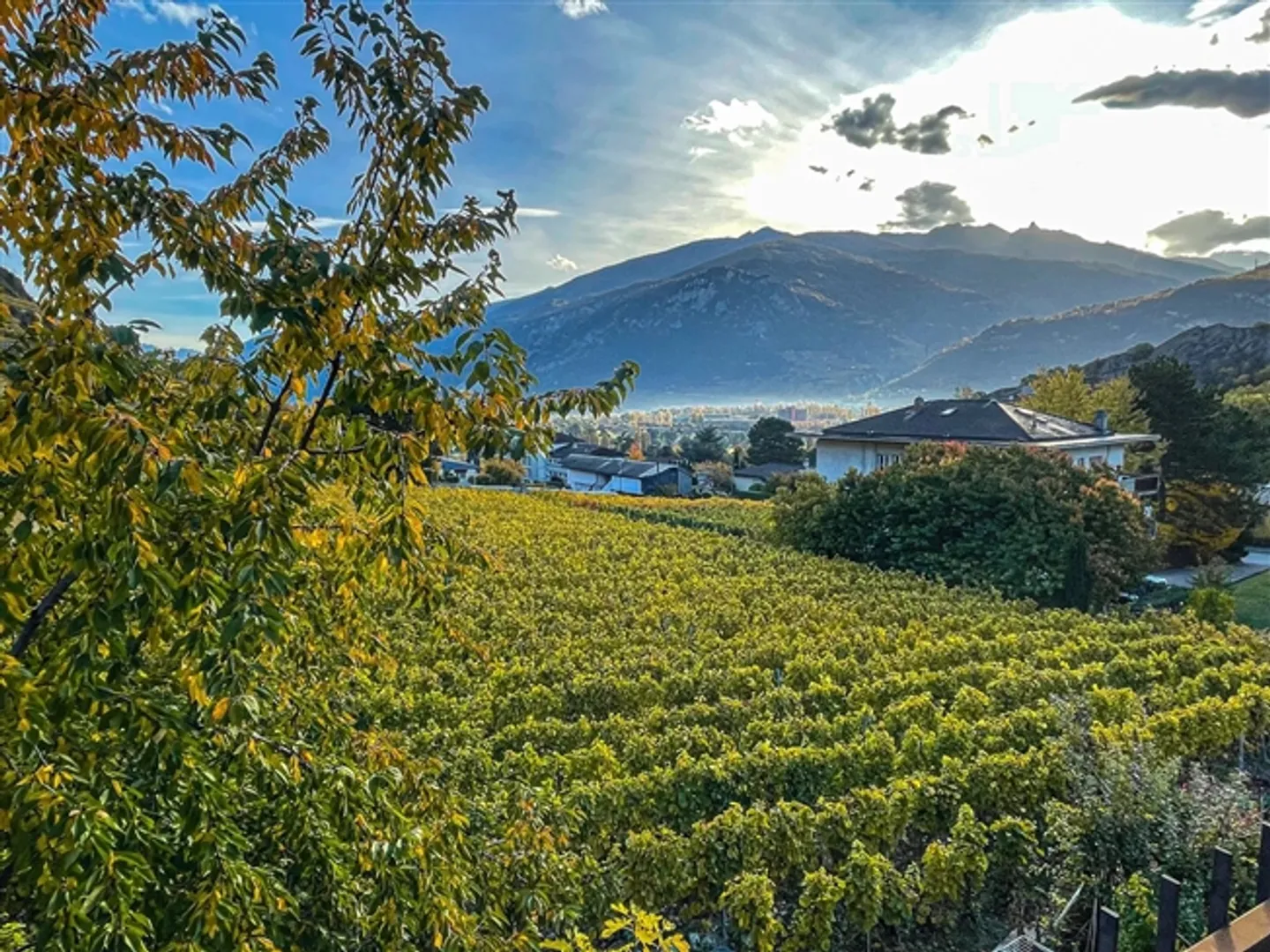 «Spacieux duplex de 7.5 pièces, au cœur des vignes» - Photo 1 sur 10