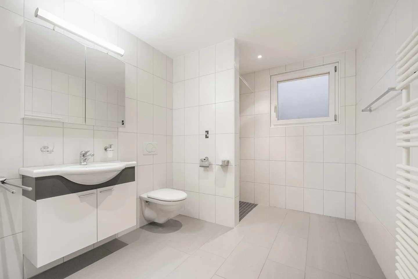 EFH sulla pendenza sud - Foto 11 di 11