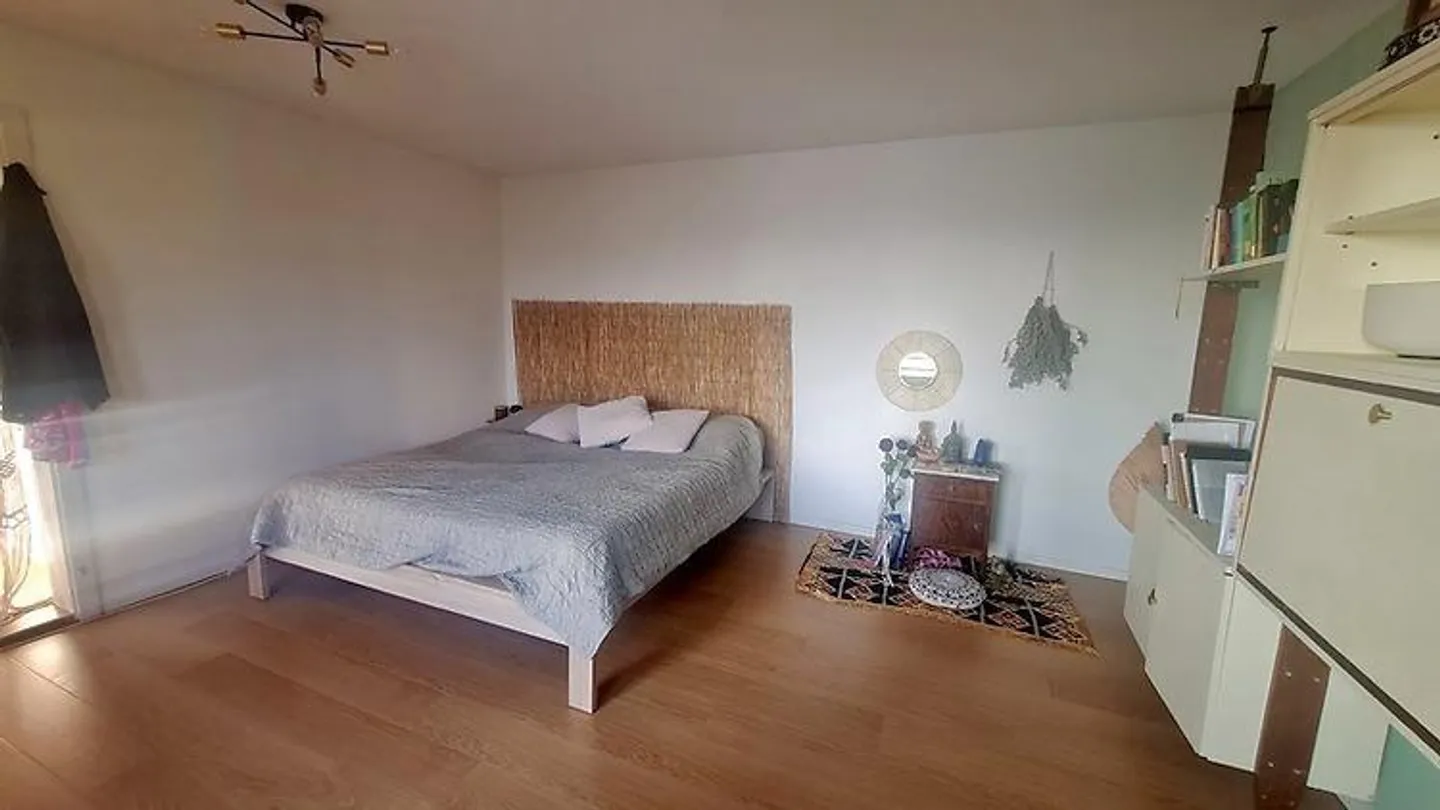 2 ROOM APARTMENT IN TURGI (AG), FURNISHED, TEMPORARY - Photo 5 of 8