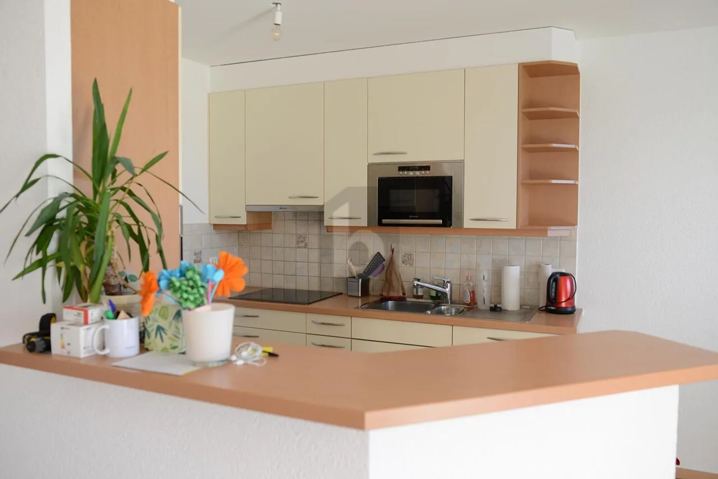 Bright Apartment in Lausanne - Photo 2 of 6