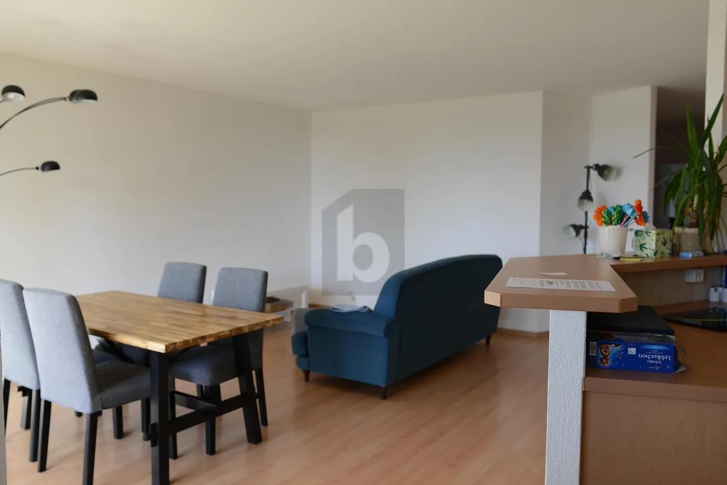 Bright Apartment in Lausanne - Photo 3 of 6