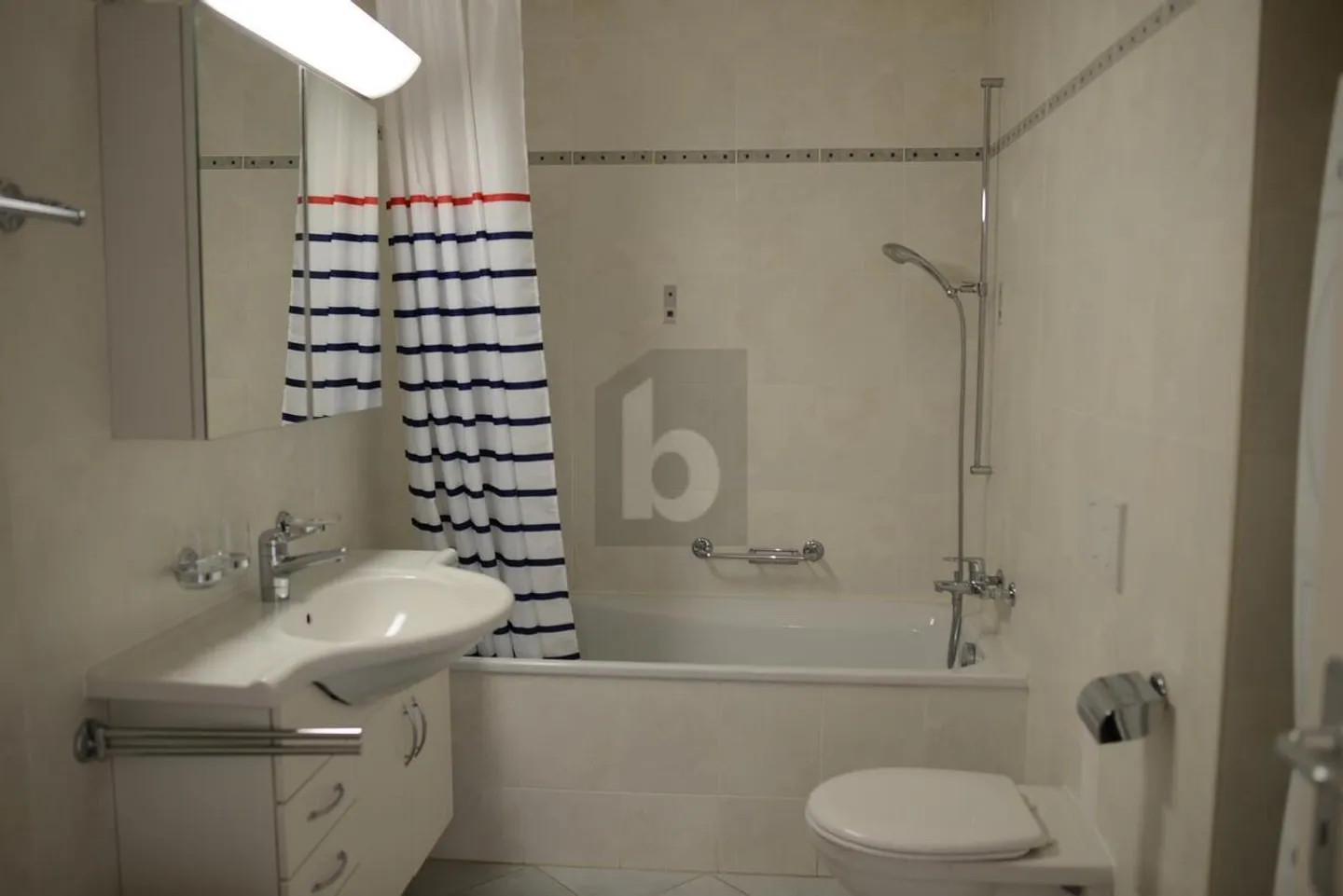 Bright Apartment in Lausanne - Photo 4 of 6