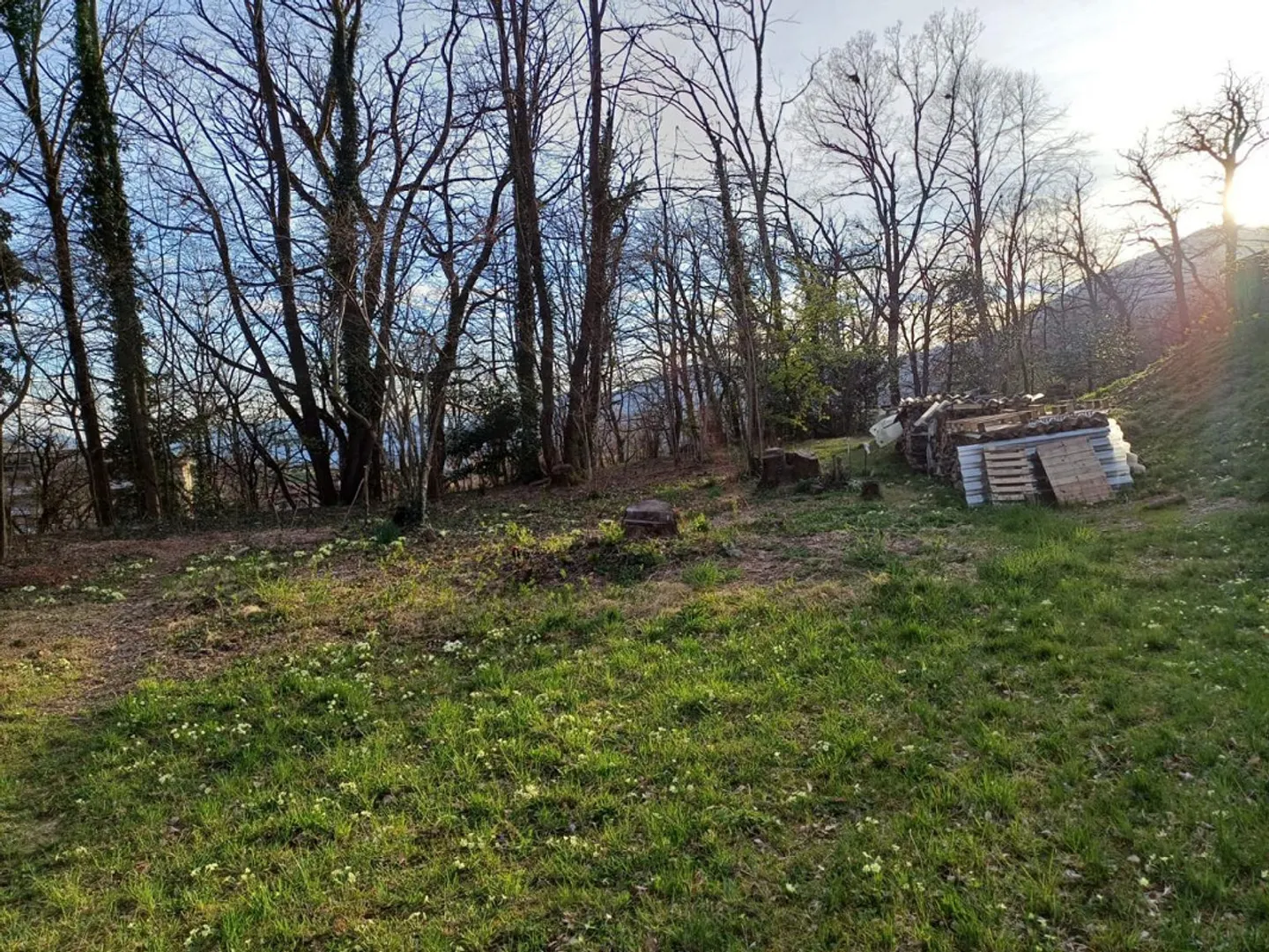 Central Building Plot with Views - Photo 6 of 12