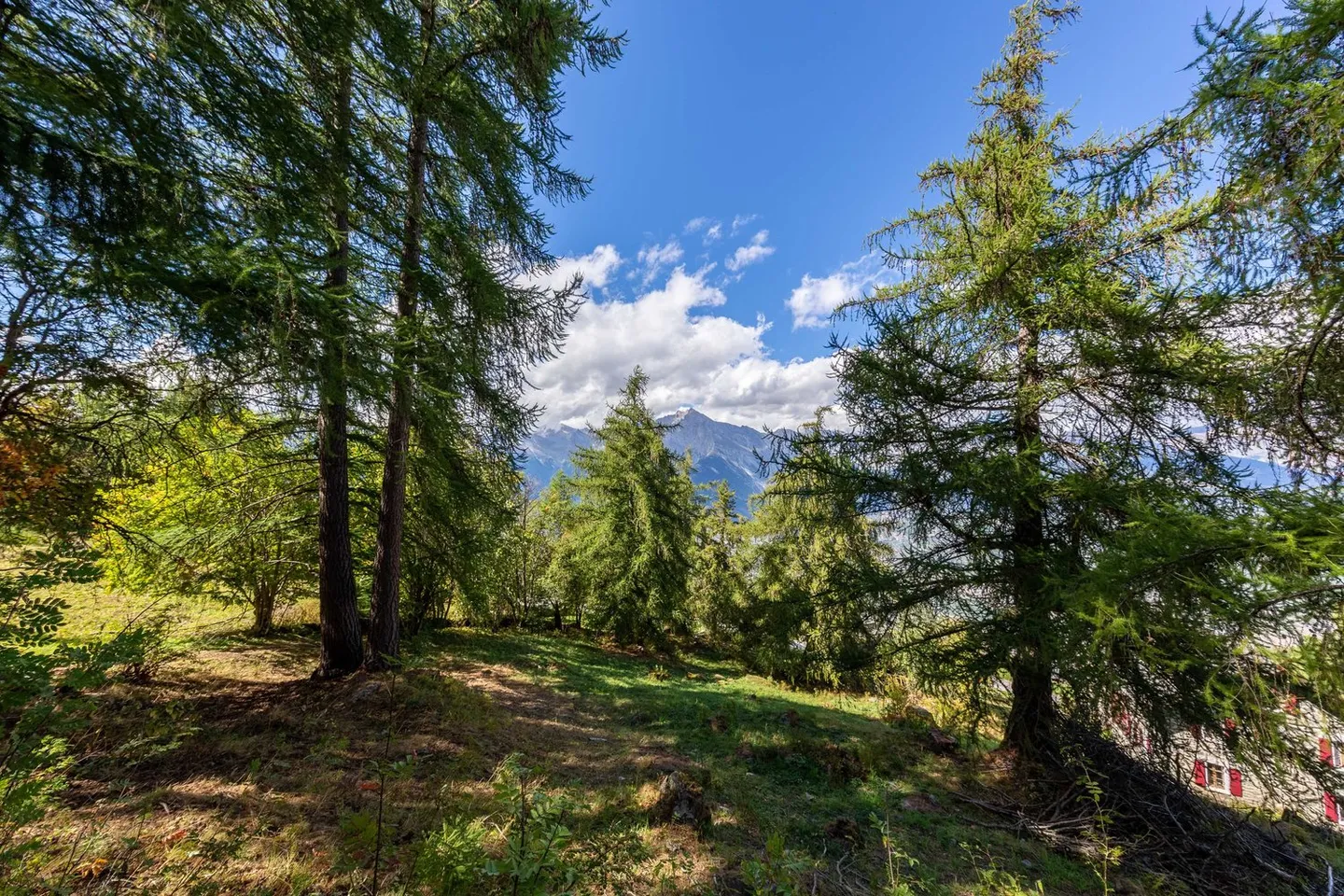 Chalet de haut standing à construire, Veillas 2, résidence principale - Photo 5 sur 9