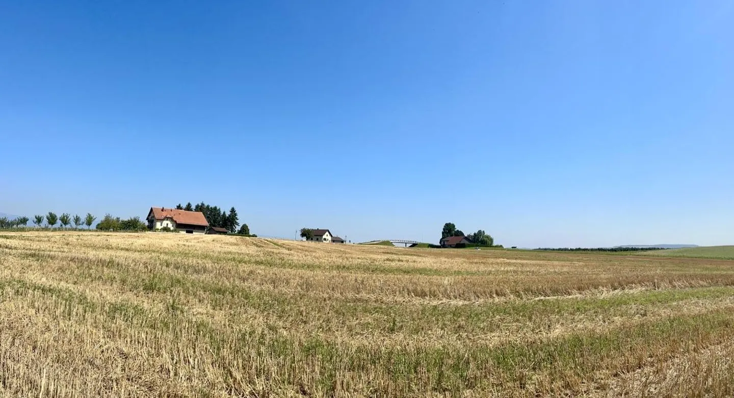 Appartamento in affitto - Foto 8 di 8