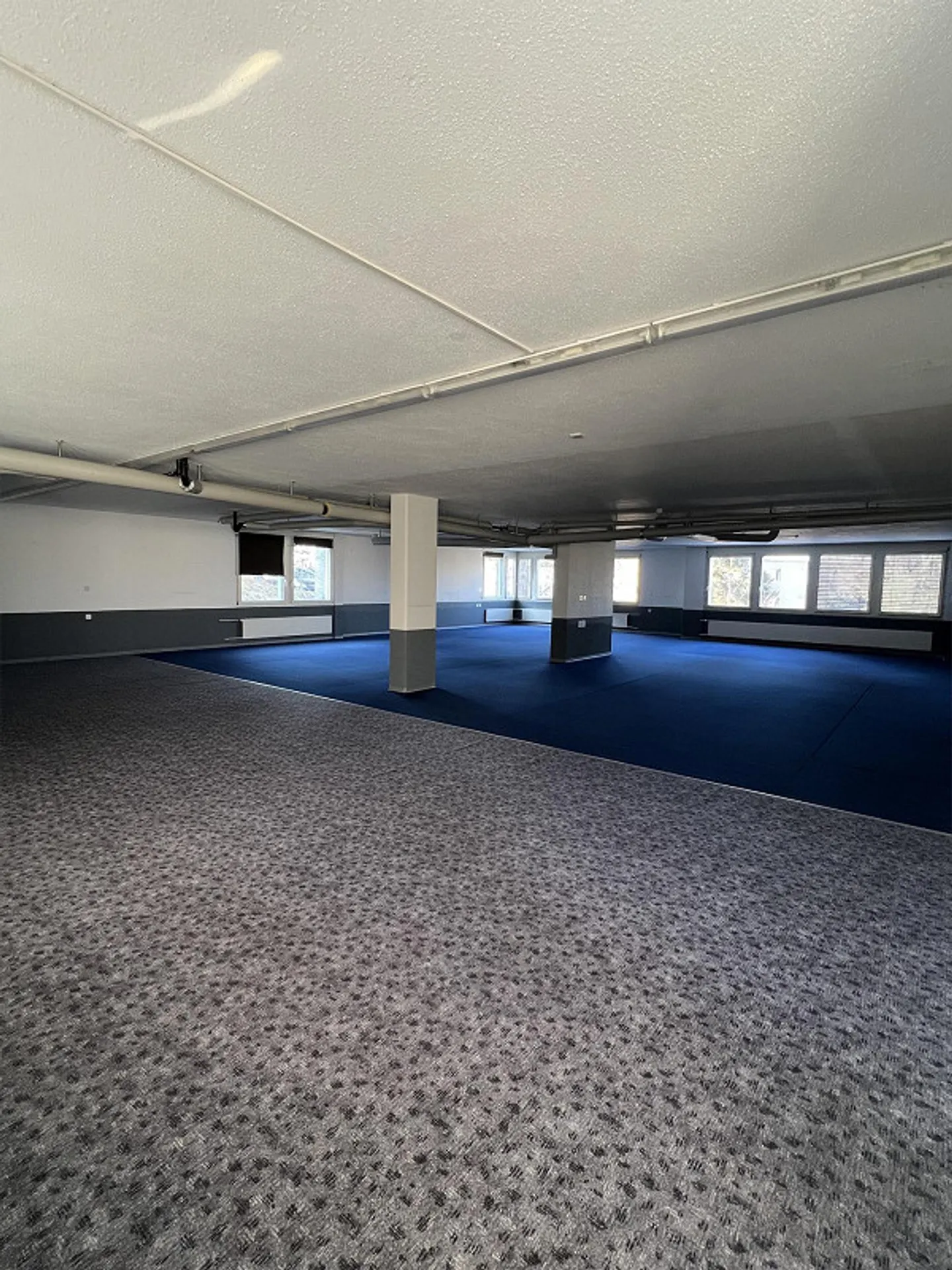 Large Commercial Space - Ideal as a Sports Studio - Photo 4 of 10