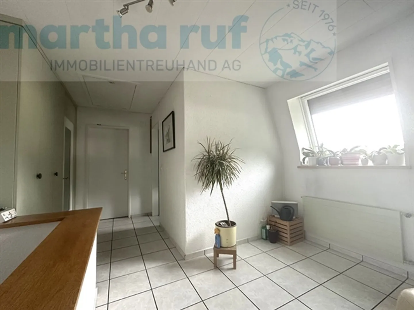 Pensione per animali unica con casa residenziale in posizione privilegiata a Interlaken - Foto 8 di 19