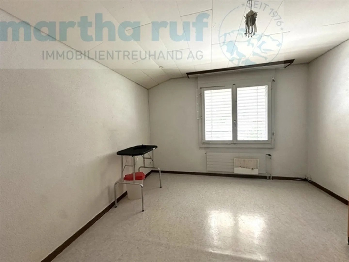 Pensione per animali unica con casa residenziale in posizione privilegiata a Interlaken - Foto 12 di 19