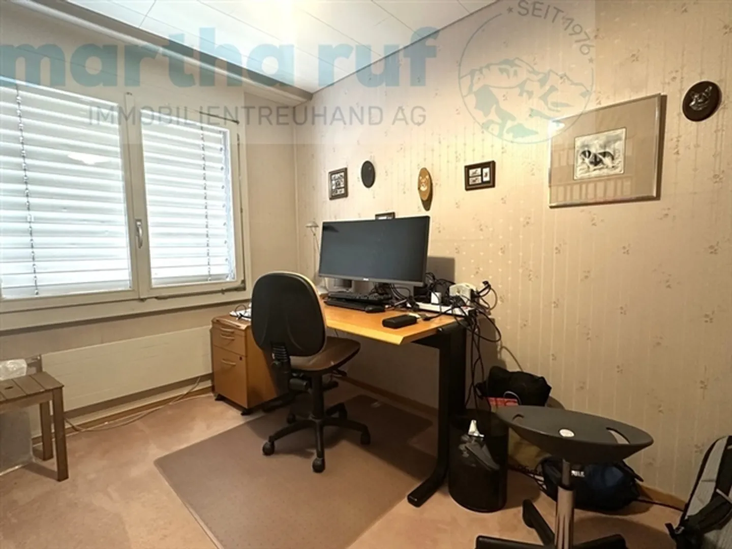 Pensione per animali unica con casa residenziale in posizione privilegiata a Interlaken - Foto 13 di 19