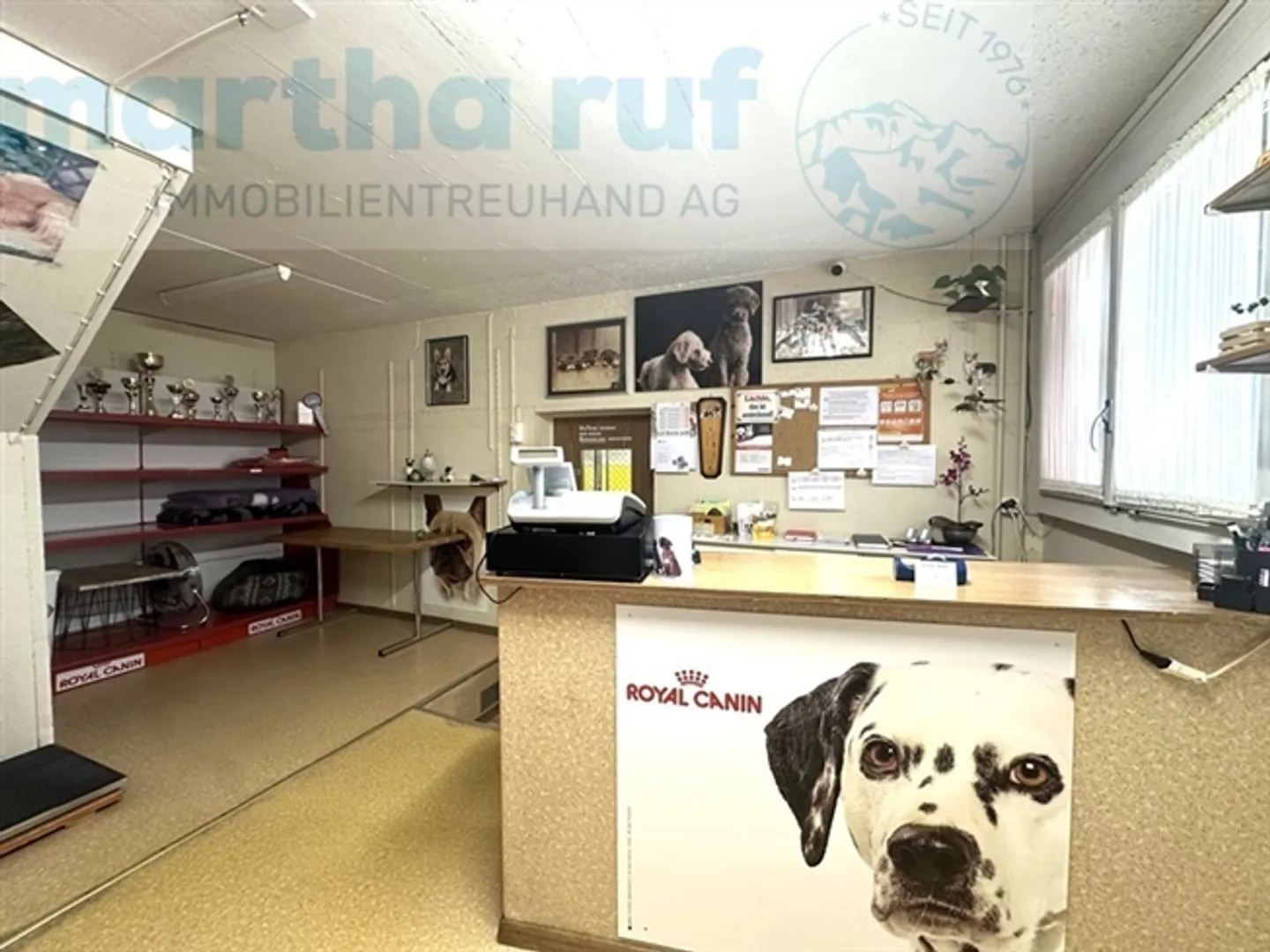 Pensione per animali unica con casa residenziale in posizione privilegiata a Interlaken - Foto 14 di 19