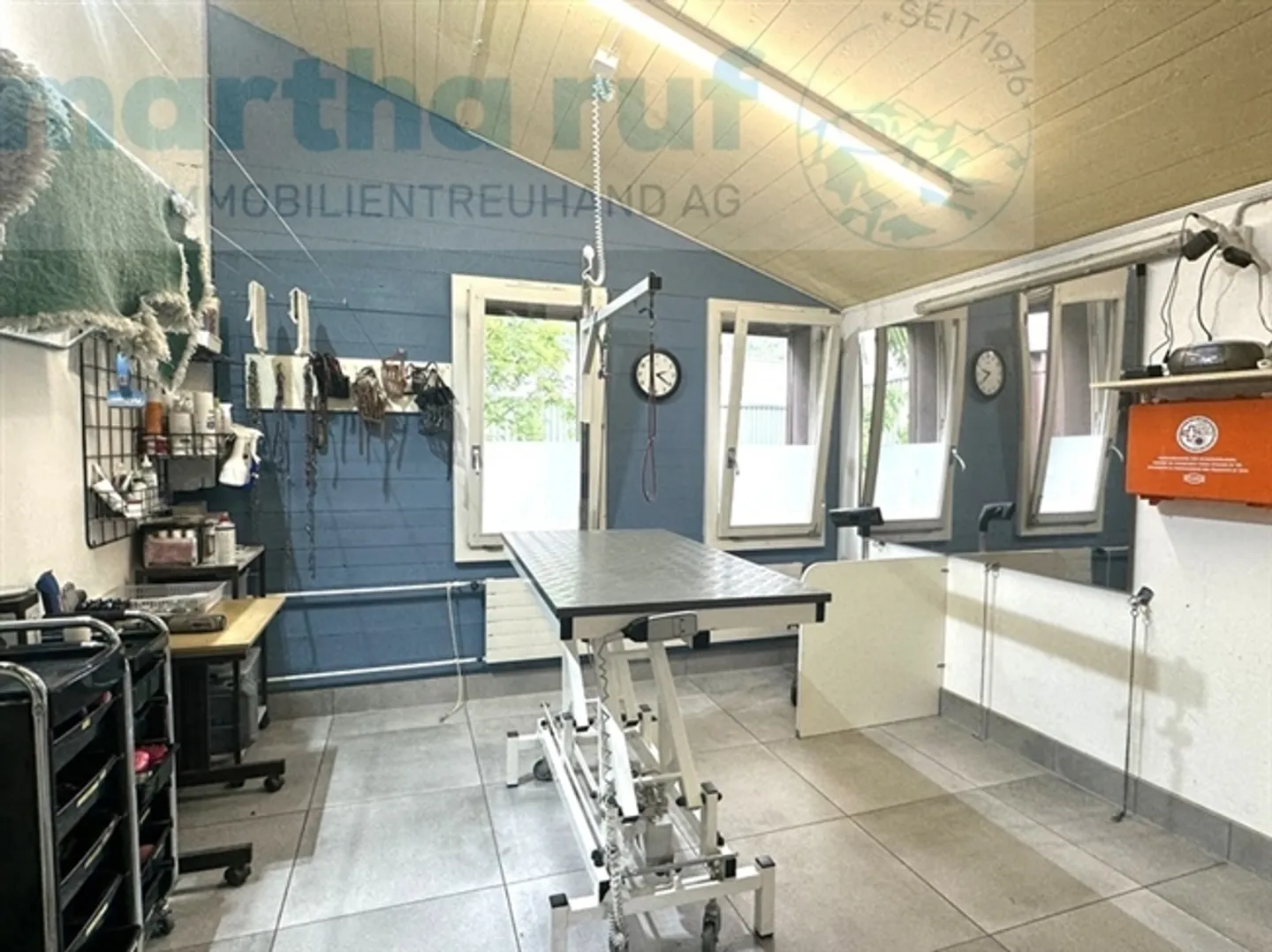 Pensione per animali unica con casa residenziale in posizione privilegiata a Interlaken - Foto 16 di 19