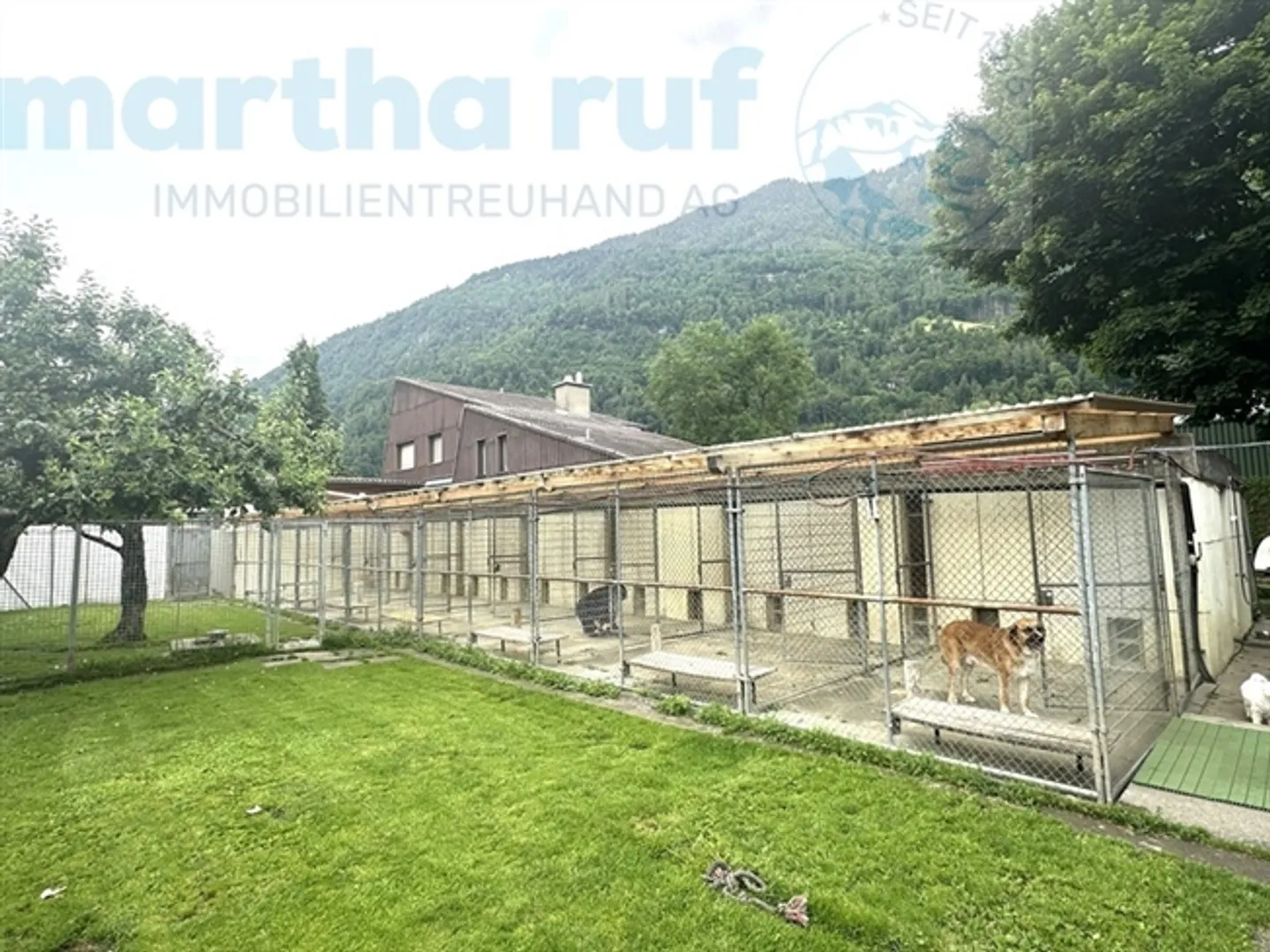 Pensione per animali unica con casa residenziale in posizione privilegiata a Interlaken - Foto 17 di 19