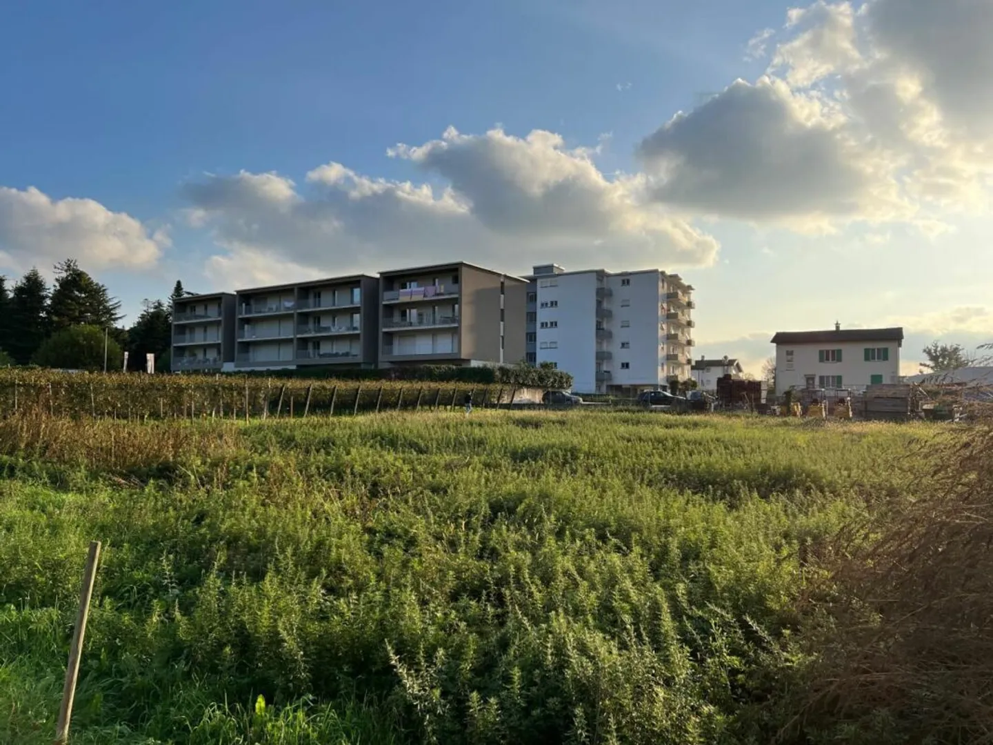 Industrial site of approximately 2,600 m² in Mendrisio - Photo 1 of 2