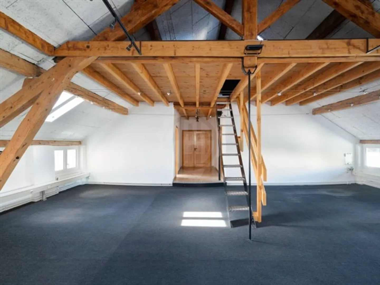 Spacious Offices - Carouge GE - Photo 3 of 7