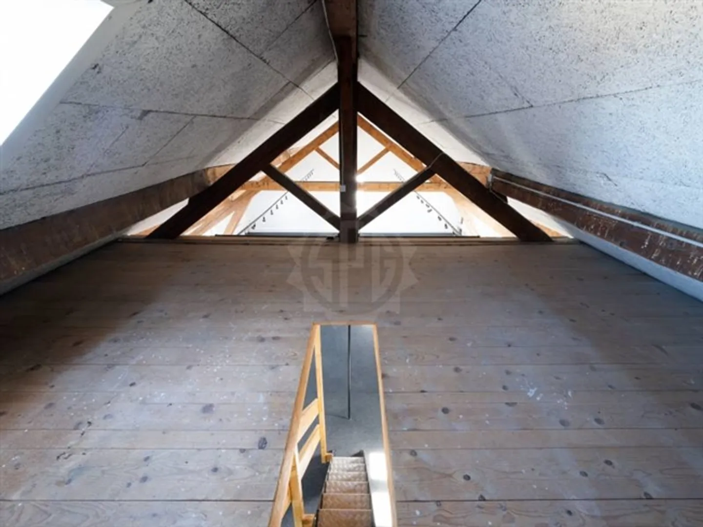 Spacious Offices - Carouge GE - Photo 4 of 7