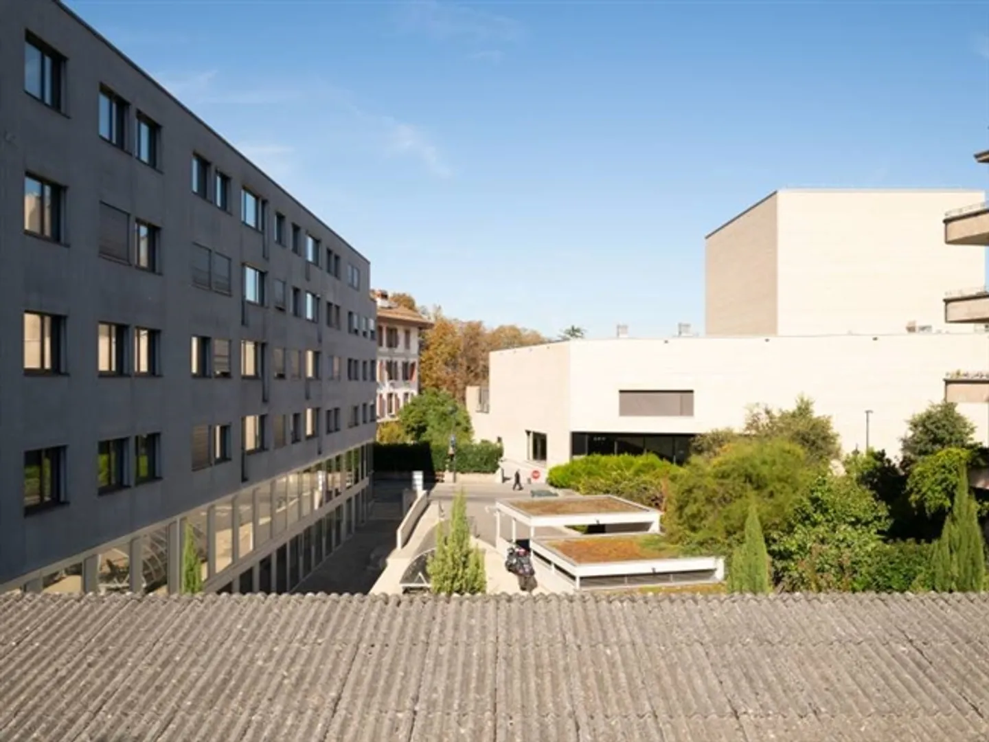 Spacious Offices - Carouge GE - Photo 7 of 7